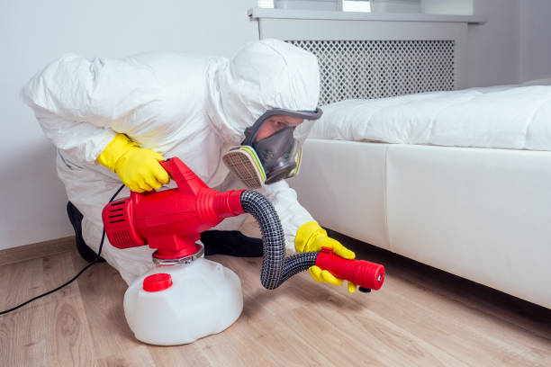 Best Pest Prevention Services  in Zephyrhills South, FL